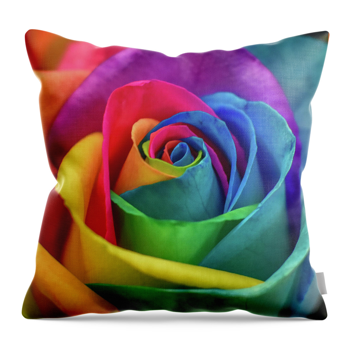 Rose Throw Pillow featuring the photograph Rainbow Rose by Michelle Wittensoldner