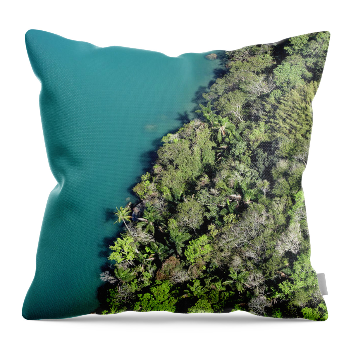 Viewpoint Throw Pillow featuring the photograph Rainforest Meeting Water by Fuse