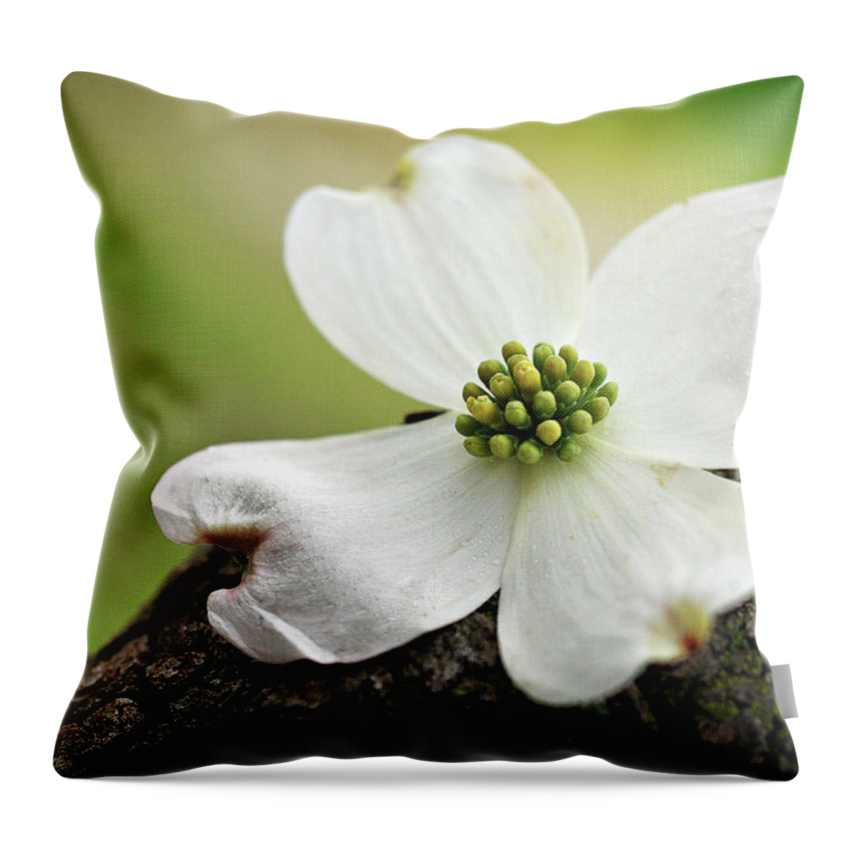 Dogwood Throw Pillow featuring the photograph Raining Sunshine by Michelle Wermuth