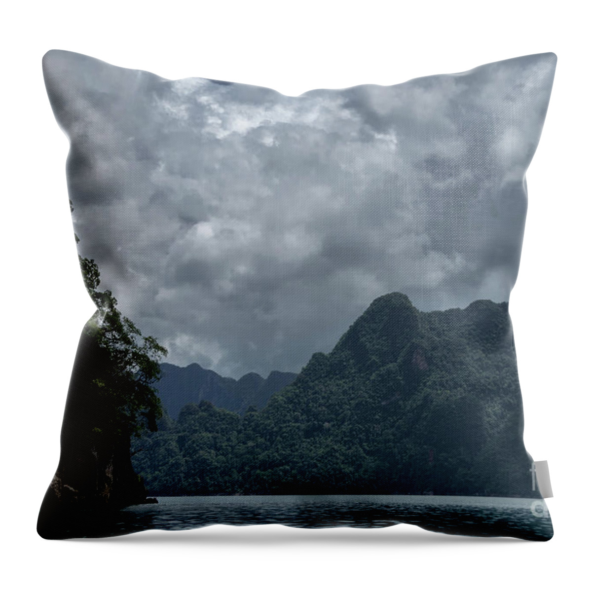 Michelle Meenawong Throw Pillow featuring the photograph Rainy Day by Michelle Meenawong