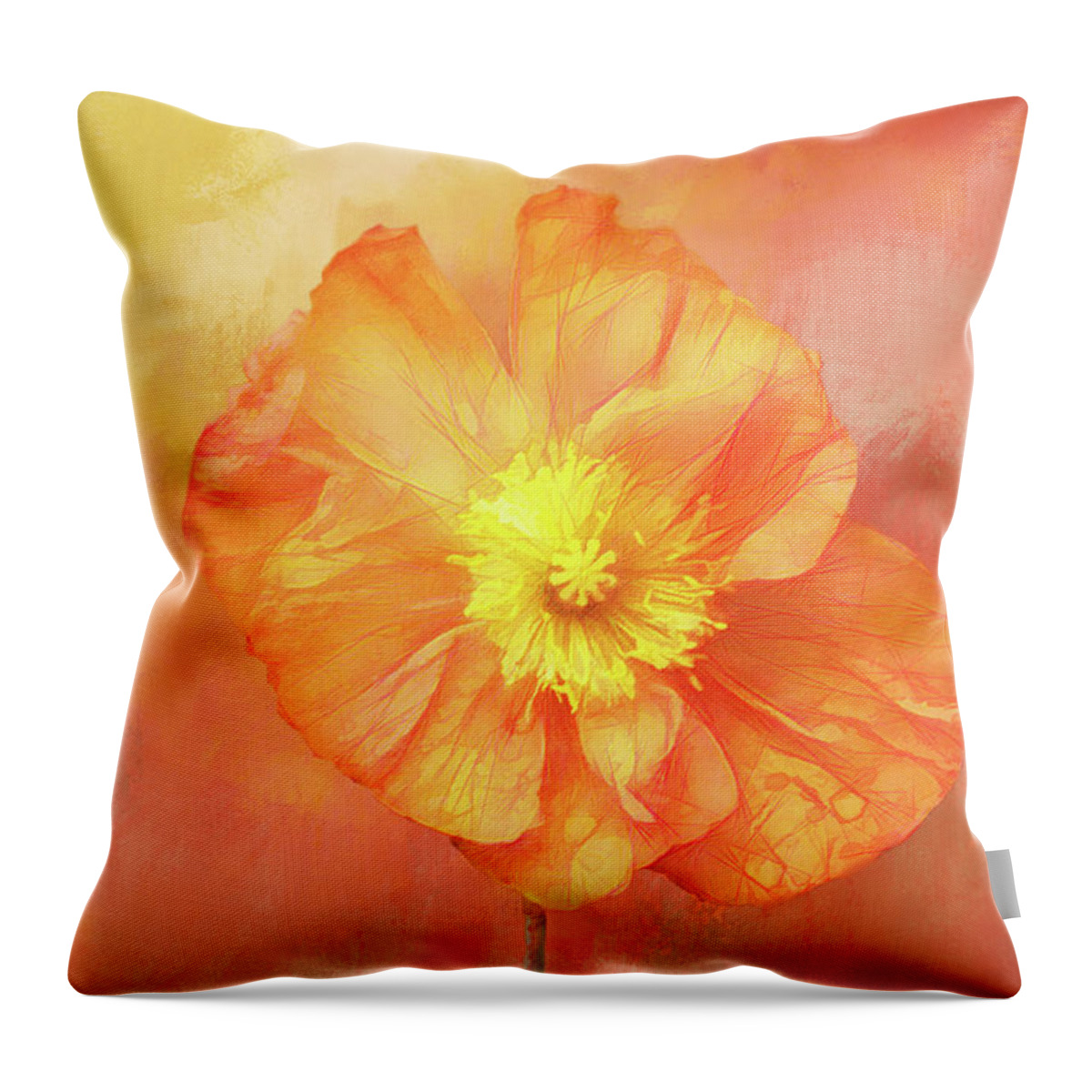 Photography Throw Pillow featuring the digital art Poppy Richness by Terry Davis
