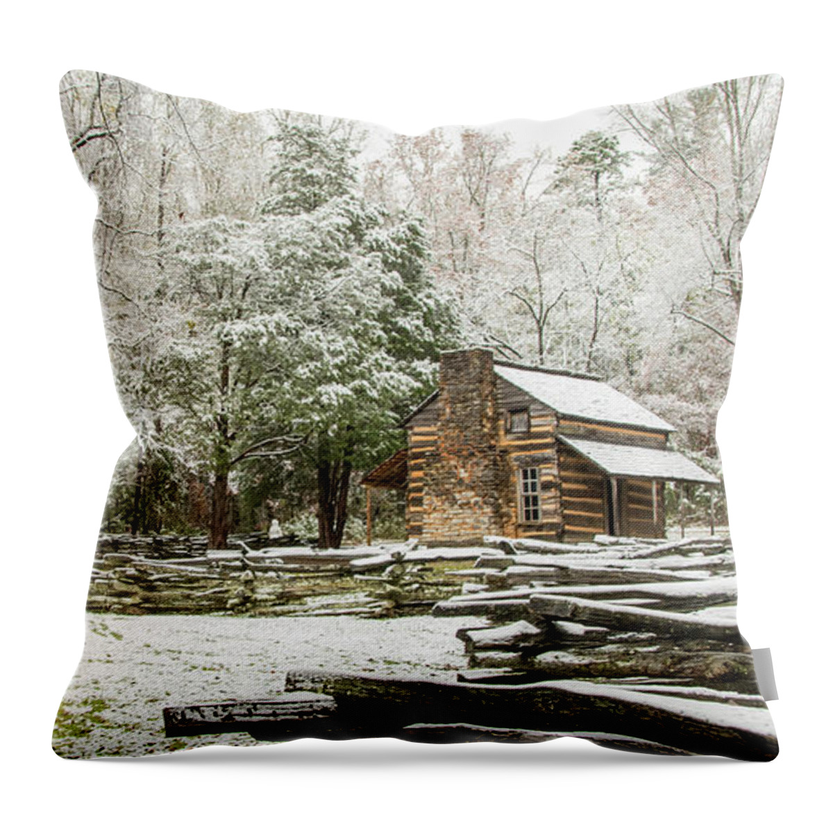 Snow Throw Pillow featuring the photograph Rare October Snow by Marcy Wielfaert