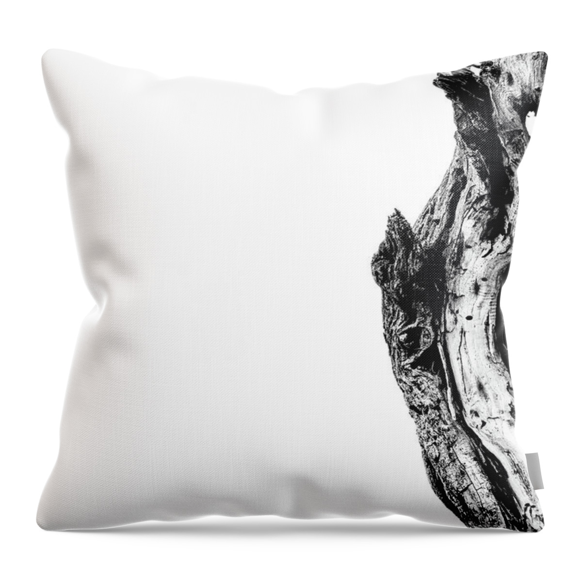 Black And White Throw Pillow featuring the photograph Reaching Up by Melisa Elliott