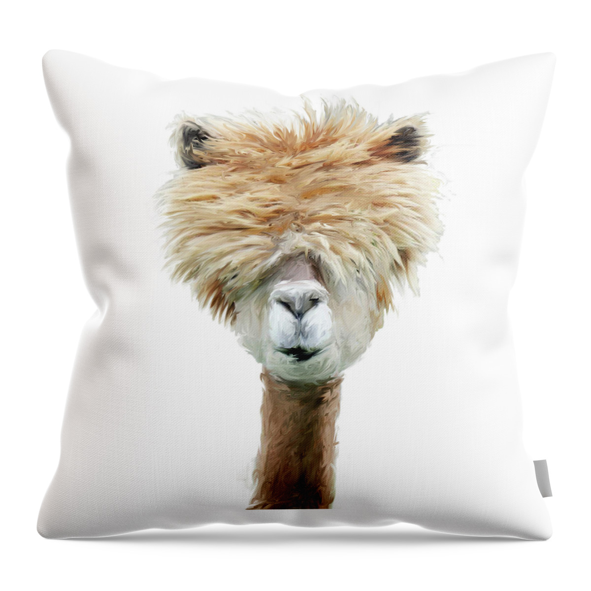 Llamas Throw Pillow featuring the mixed media Read what eye chart by Brenda Leedy