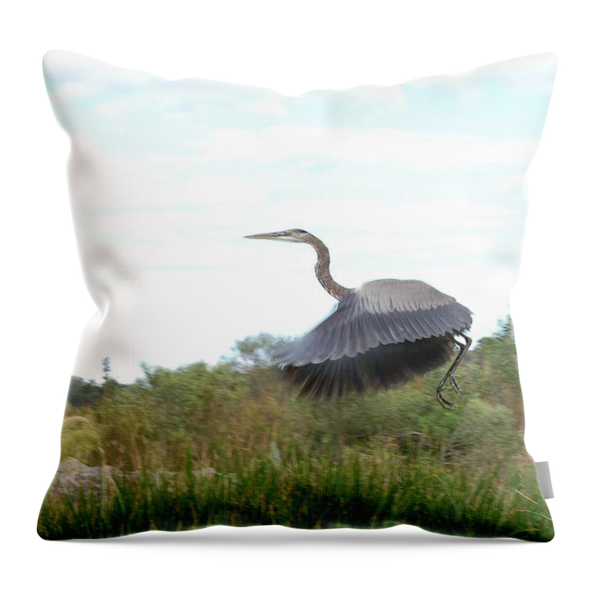 Ready For Takeoff Throw Pillow featuring the photograph Ready for Takeoff by Jennifer Forsyth