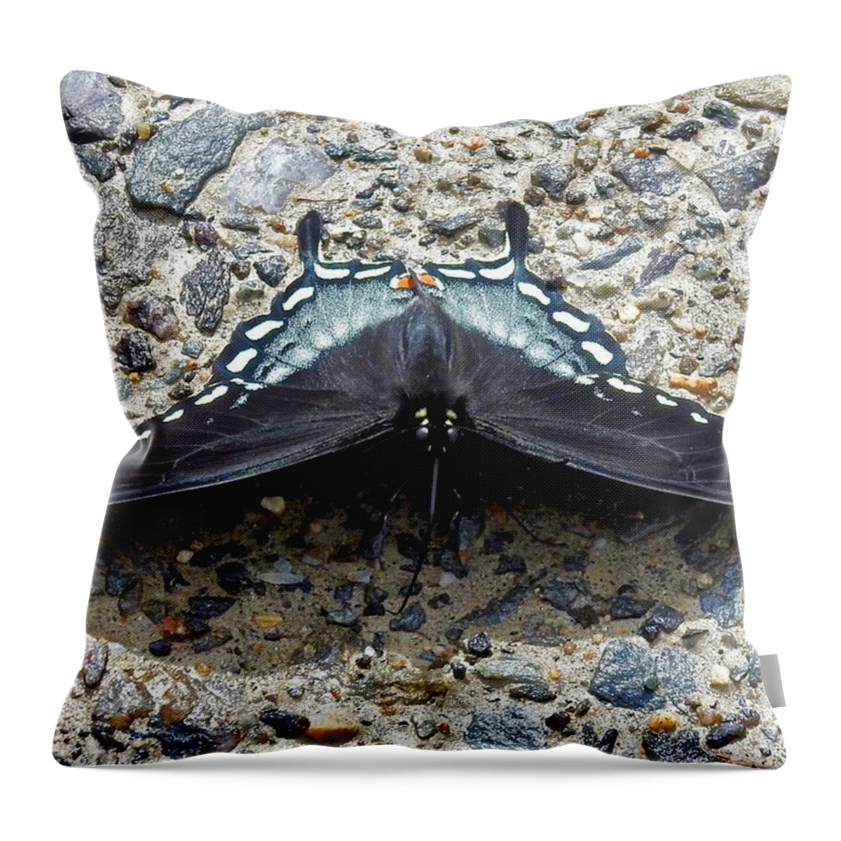Blue Throw Pillow featuring the photograph Ready For Takeoff by Kathy Chism