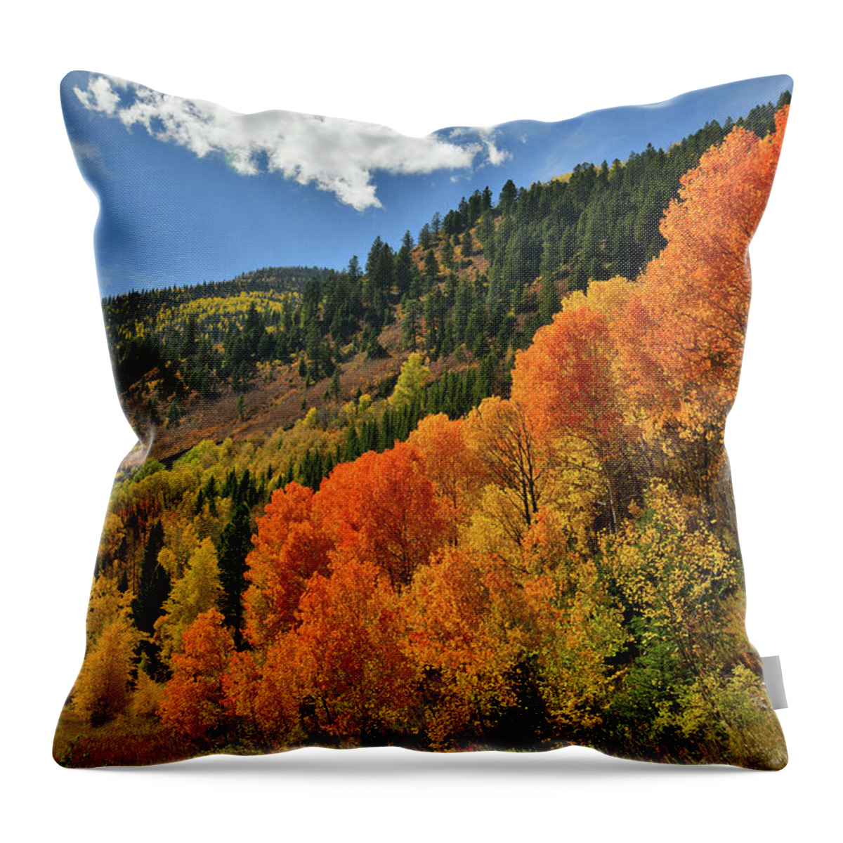 Colorado Throw Pillow featuring the photograph Red Aspens Along Highway 133 by Ray Mathis