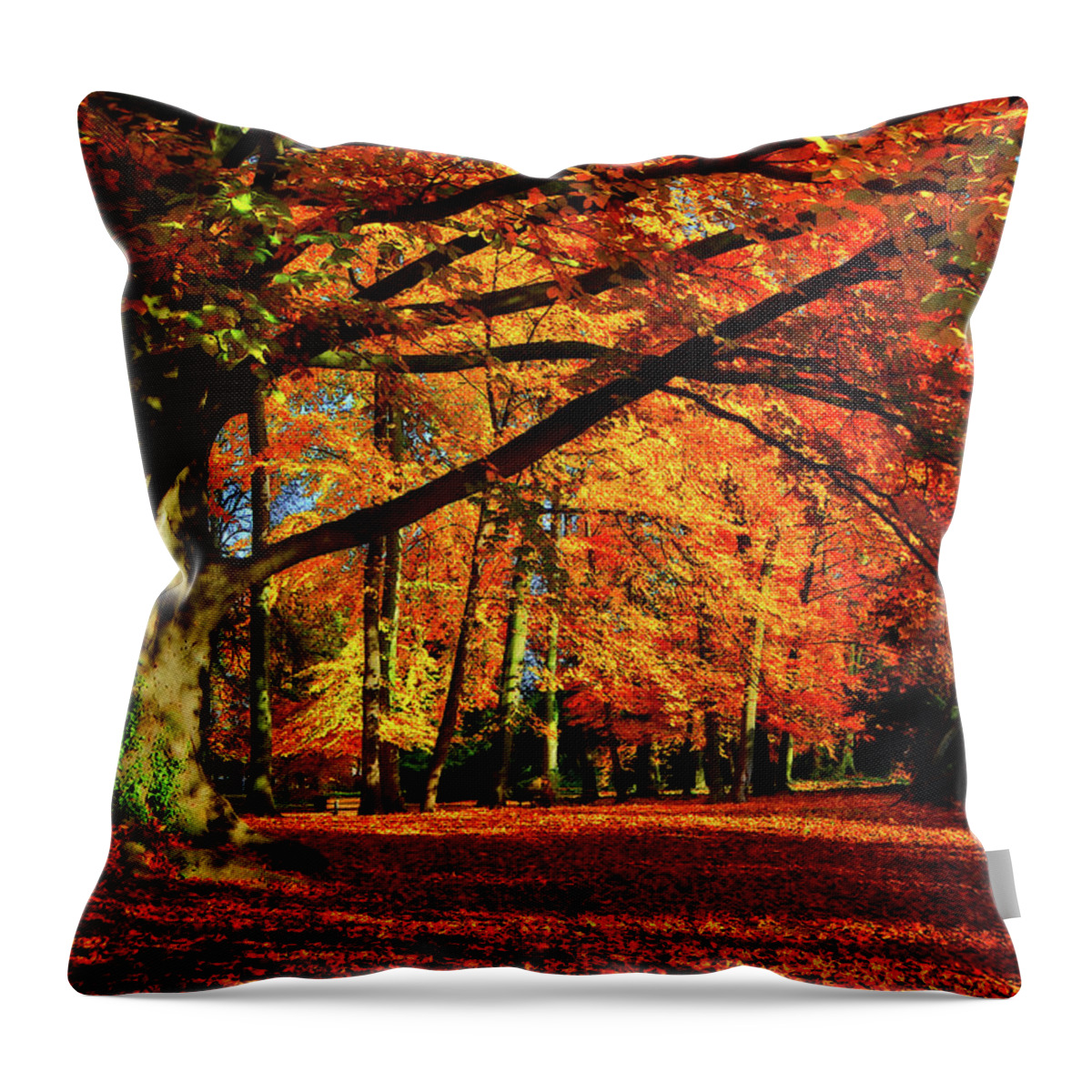 Autumn Throw Pillow featuring the photograph Red Autumn by Philippe Sainte-Laudy