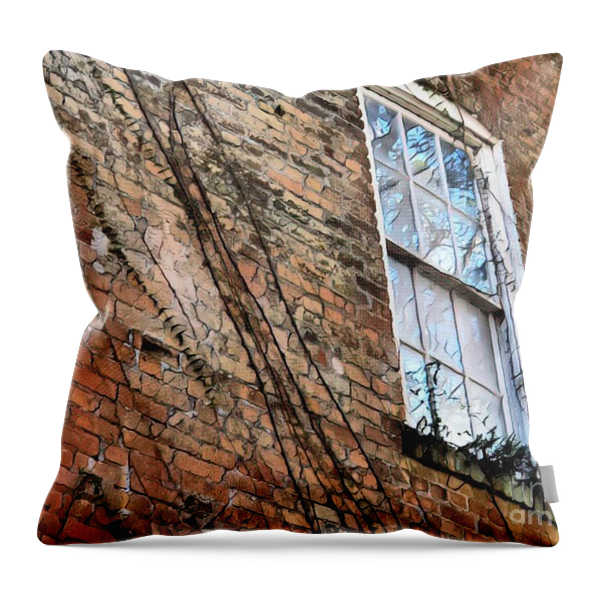 Red Brick Building Throw Pillow featuring the photograph Red Brick Building Vintage Windiw by Carol Riddle