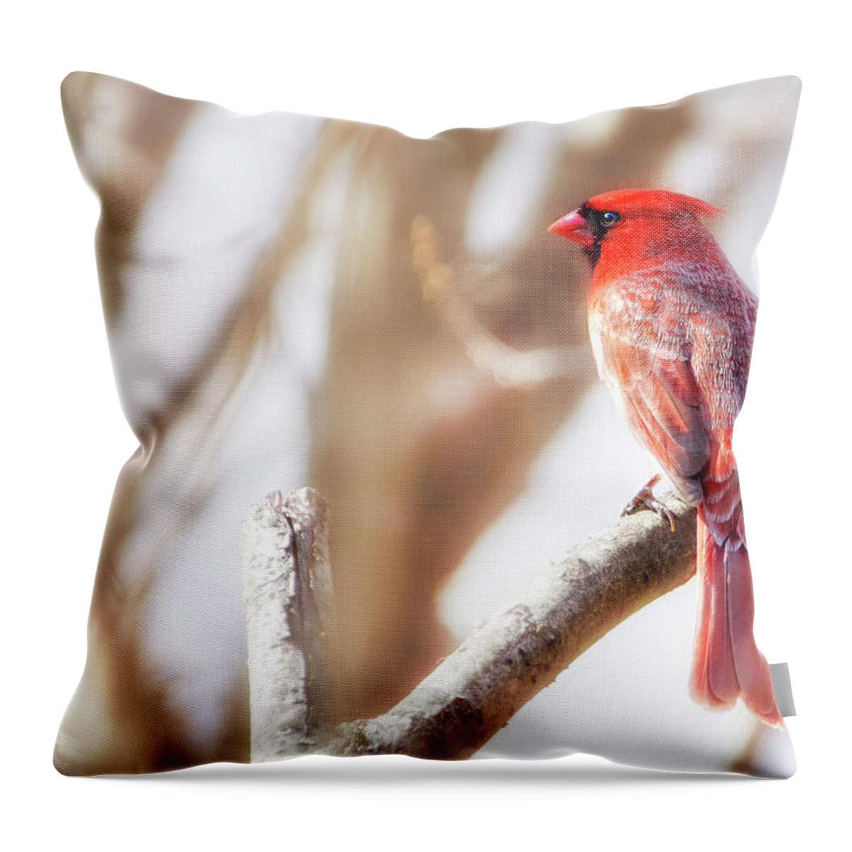 Songbird Throw Pillow featuring the photograph Red Cardinal by Copyright (c) Richard Susanto