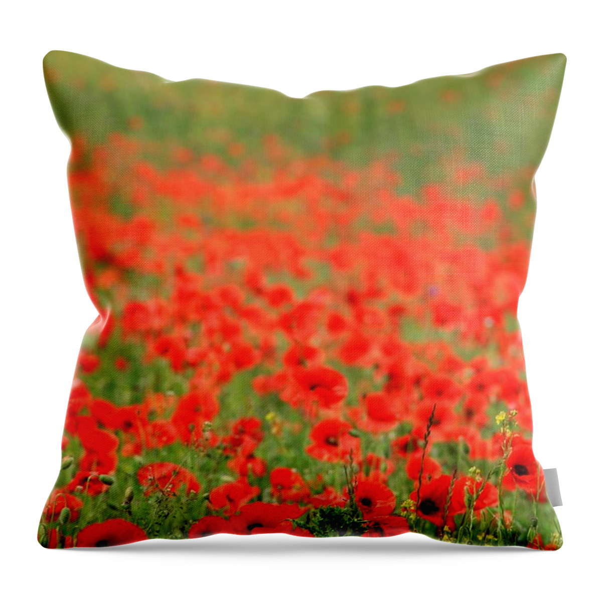 Tranquility Throw Pillow featuring the photograph Red Flowers by Ian Hadingham
