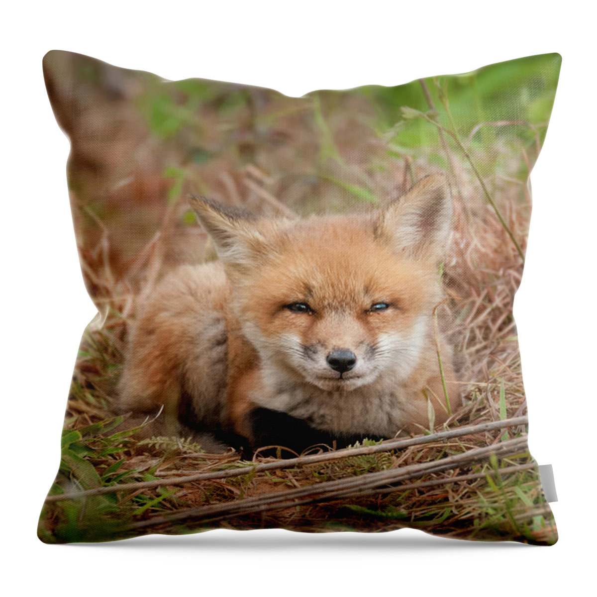 Red Fox Kit Watching You Throw Pillow featuring the photograph Red Fox Kit - Watching You by Todd Henson