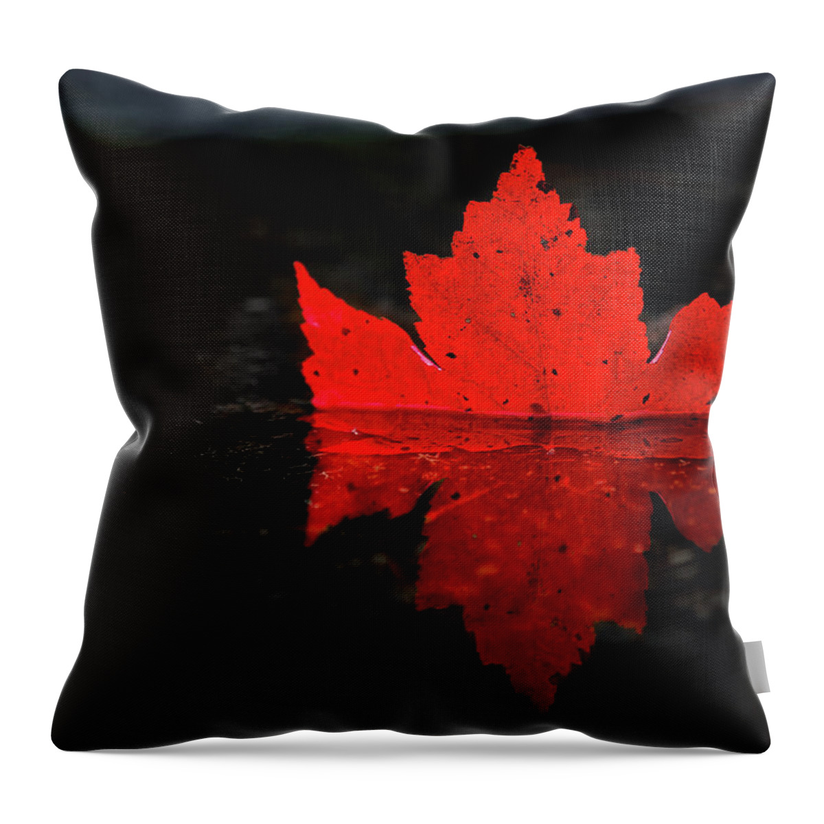 Fall Throw Pillow featuring the photograph Red Leaf Reflection by Tim Kirchoff