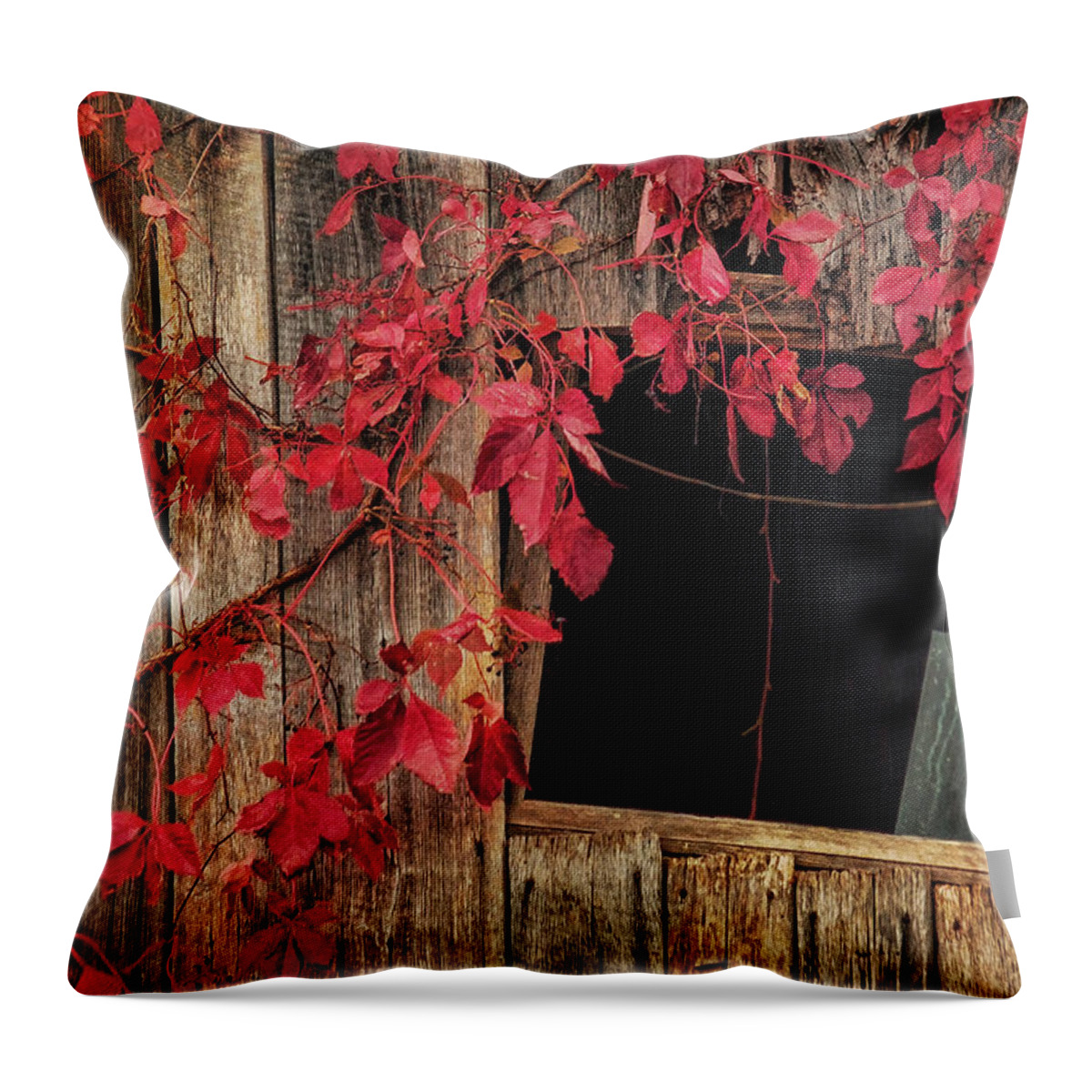 Built Structure Throw Pillow featuring the photograph Red Leaves On Barn Window by Melinda Moore