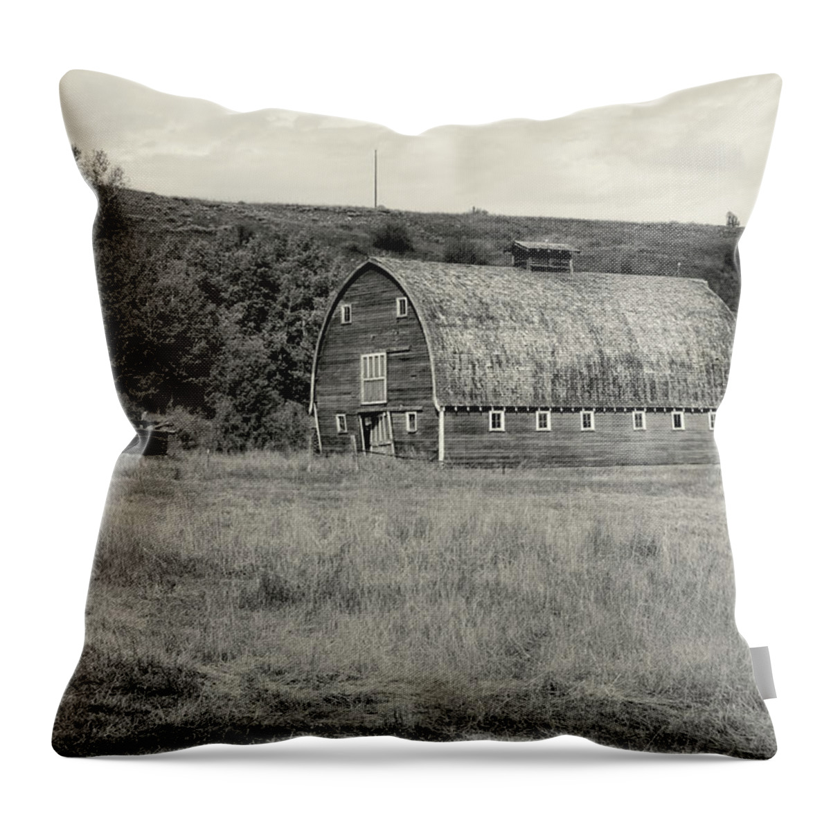 Barn Throw Pillow featuring the photograph Red Lodge MT Barn Black and white by Cathy Anderson