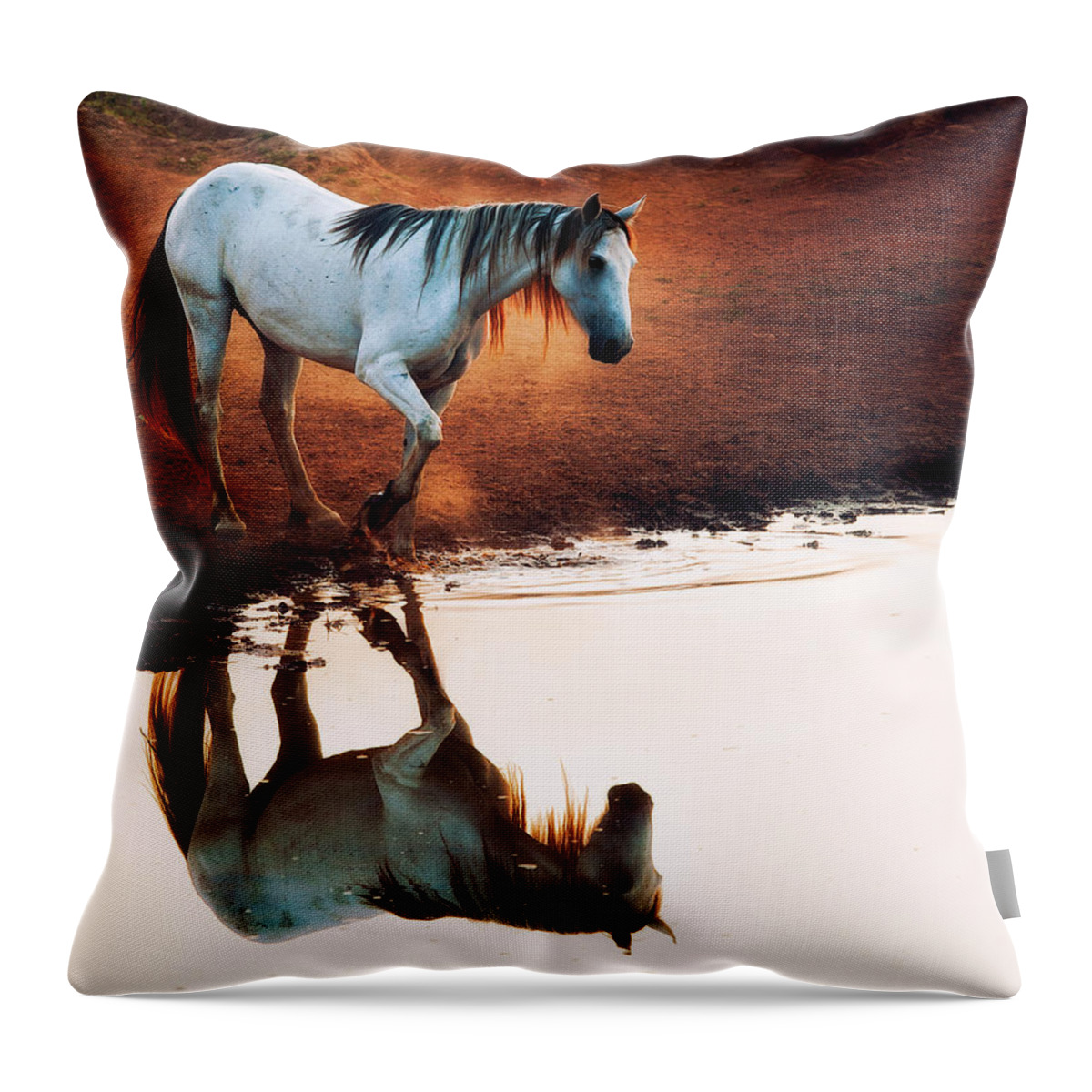 Eguine Throw Pillow featuring the photograph Red Rock Reflection by Ron McGinnis