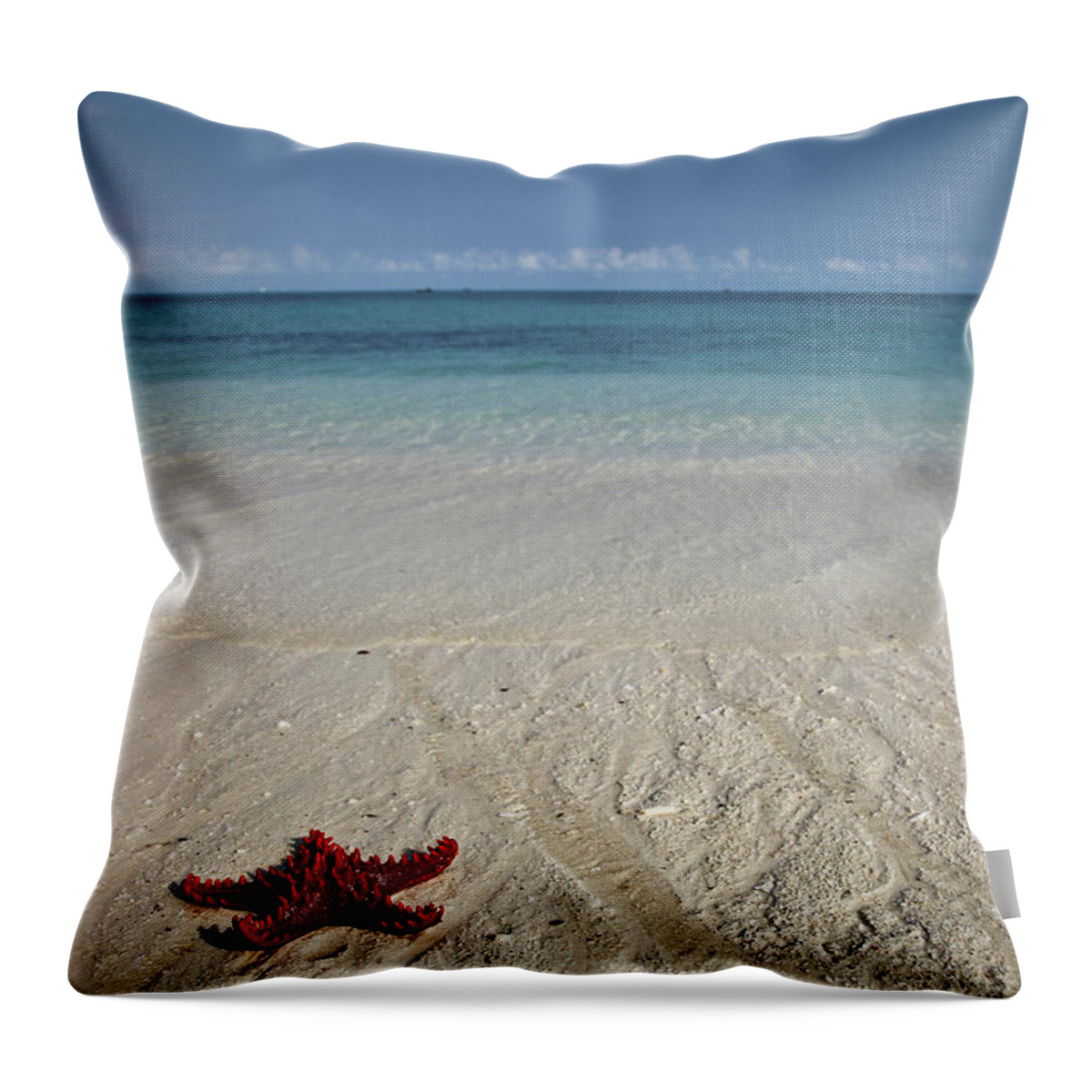 Tanzania Throw Pillow featuring the photograph Red Sea Star by Alessandro Capurso