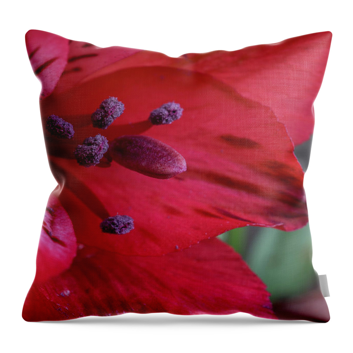 Lily Throw Pillow featuring the photograph Red Tiger by Linda Howes