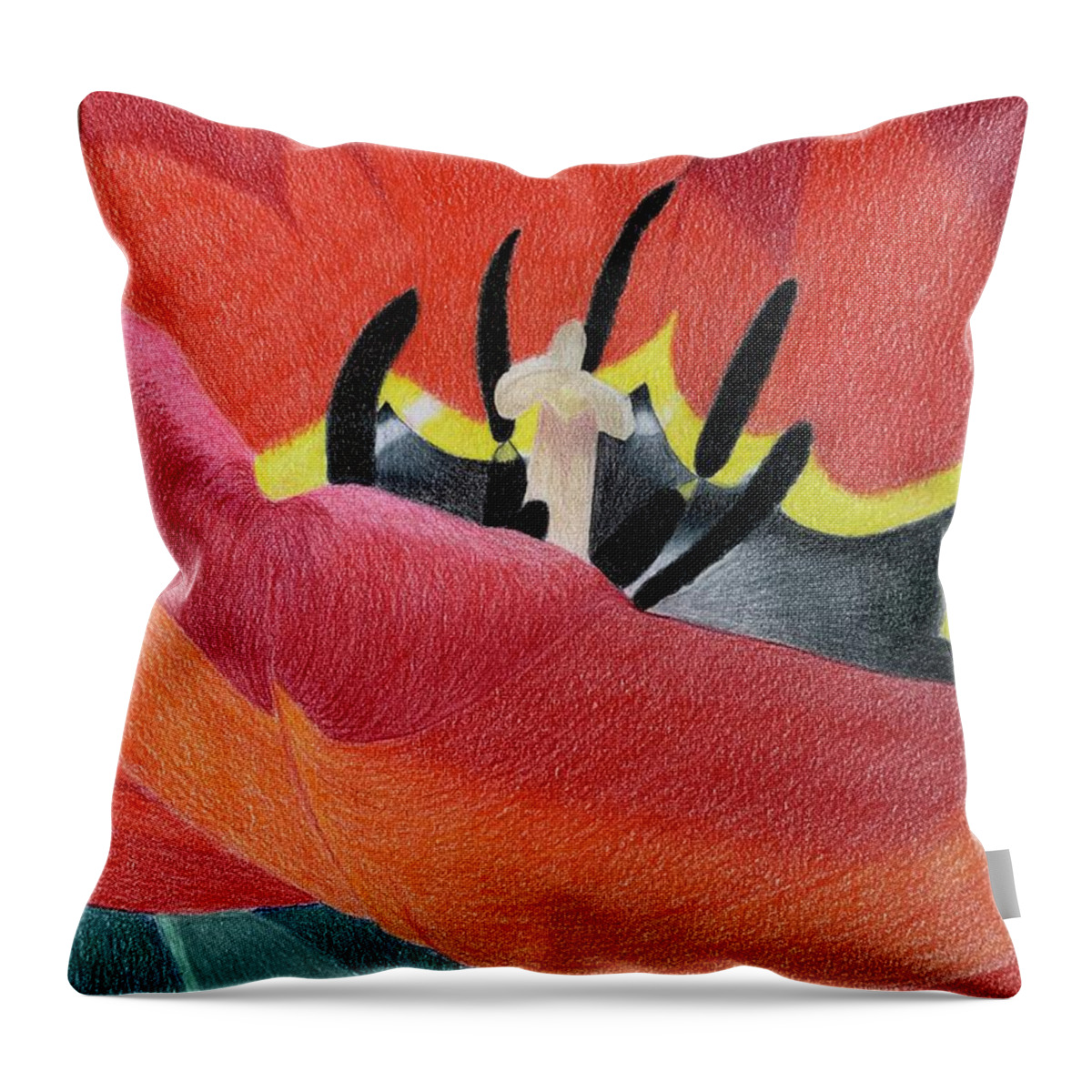 Flower Throw Pillow featuring the drawing Red tulip by Colette Lee