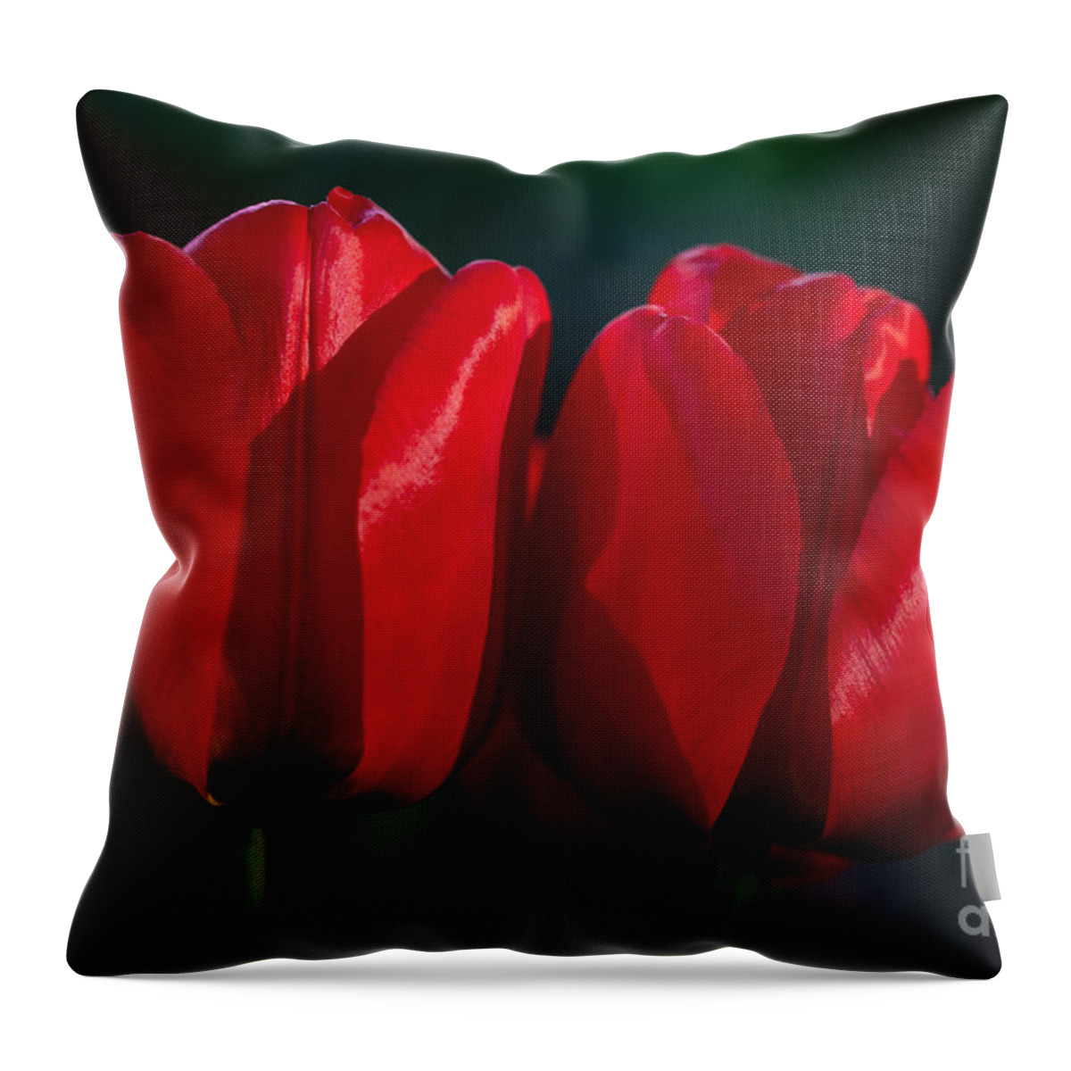 Photography Throw Pillow featuring the photograph Twin Red Tulips by Alma Danison