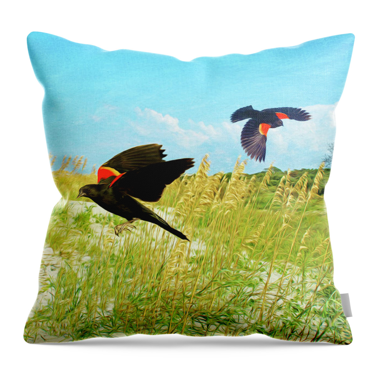 Red-winged Blackbirds Throw Pillow featuring the photograph Red-Winged Blackbirds by Laura D Young