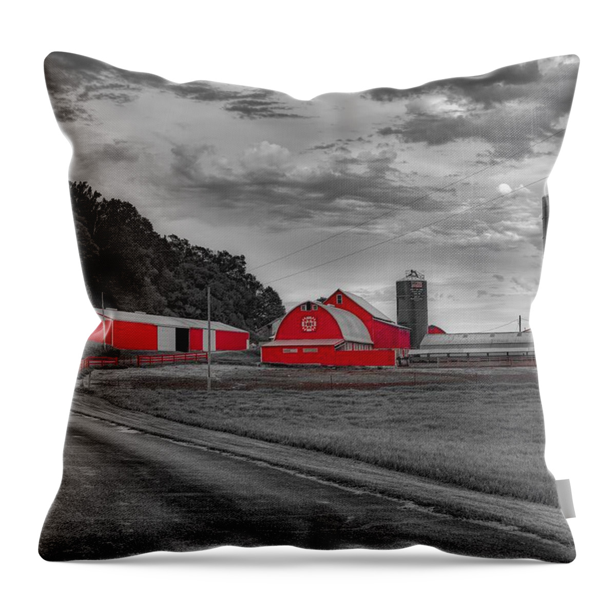 Wisconsin Throw Pillow featuring the photograph Reds Of The Evening by Mountain Dreams