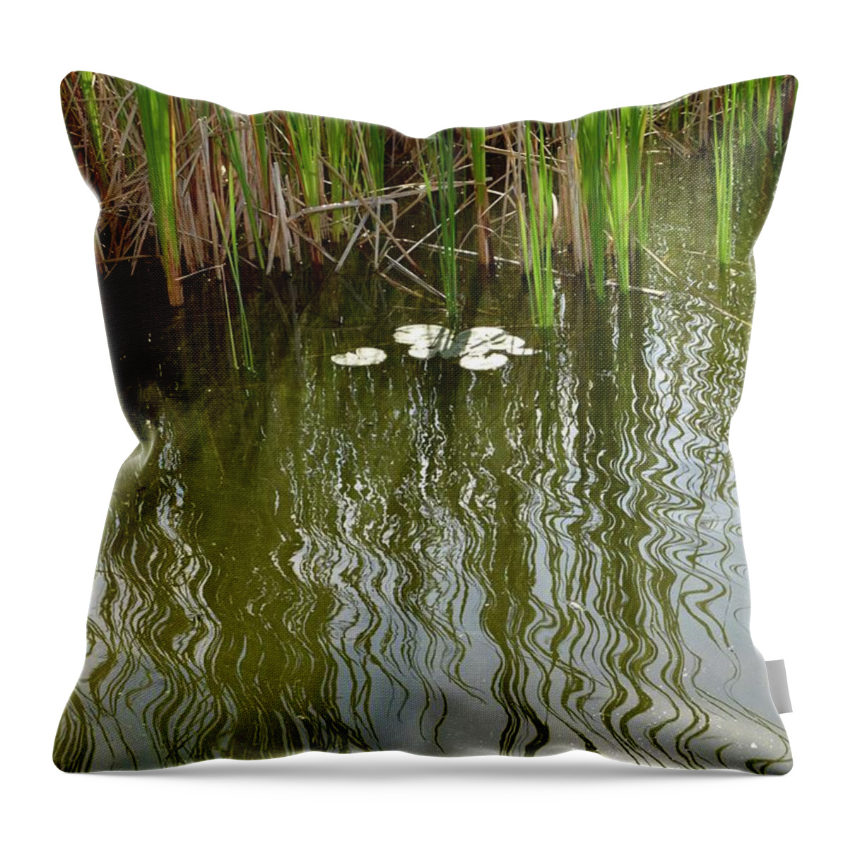 Water Throw Pillow featuring the photograph Reed Reflections by Linda L Brobeck