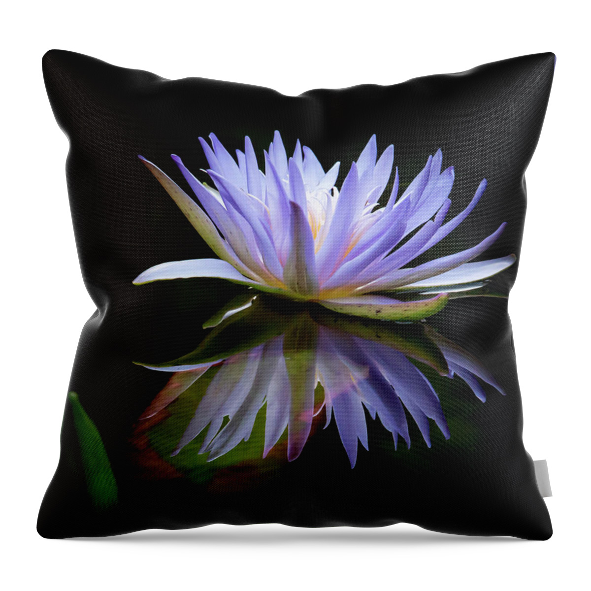 Spring Throw Pillow featuring the photograph Reflected in the Water by Sabrina L Ryan