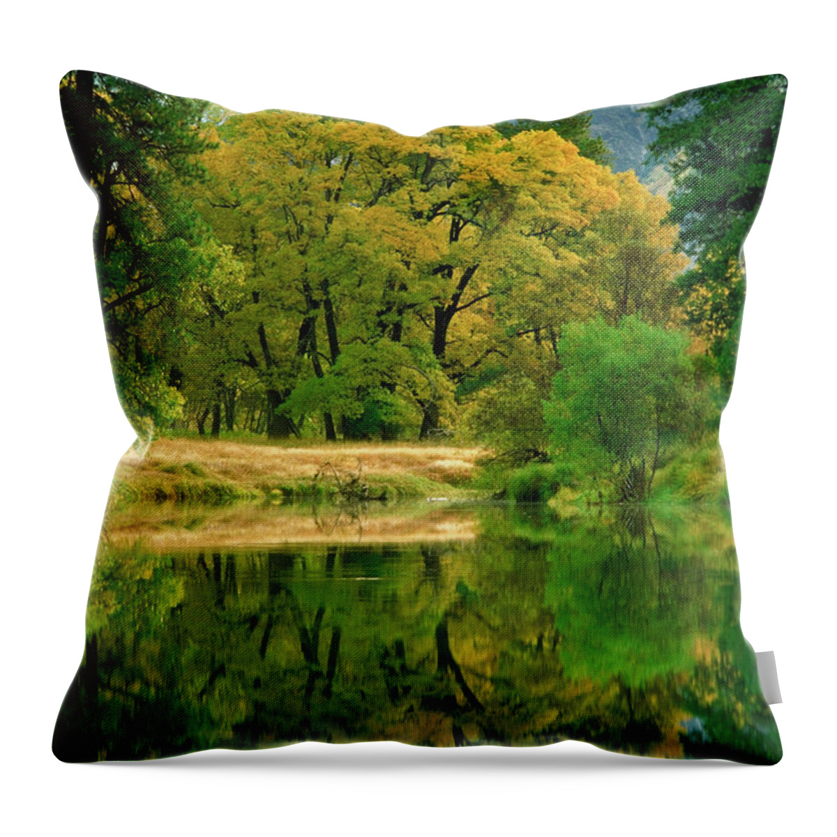 Scenics Throw Pillow featuring the photograph Reflection Of Trees In Merced River by Medioimages/photodisc