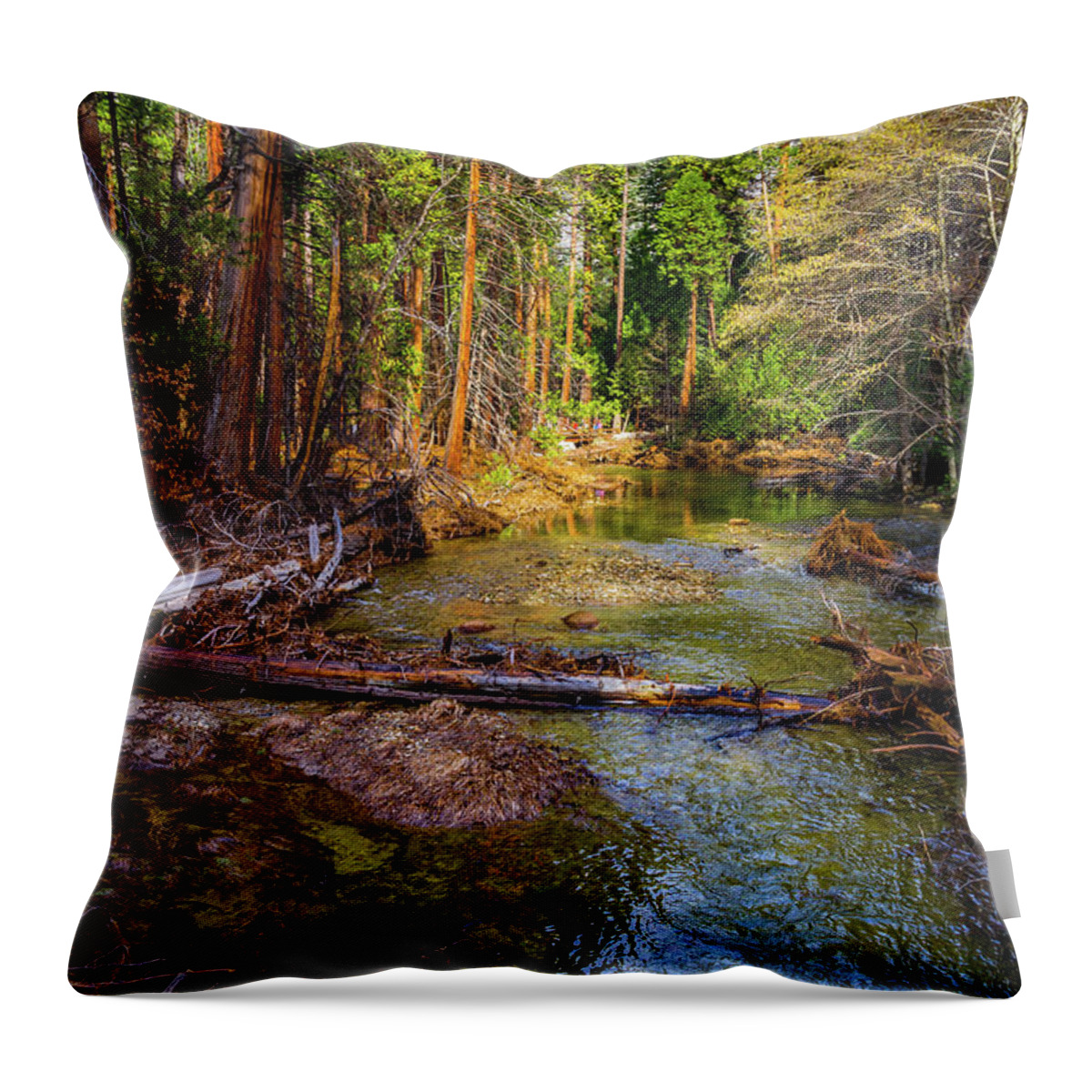 California Throw Pillow featuring the photograph Reflections in Merced River by Roslyn Wilkins
