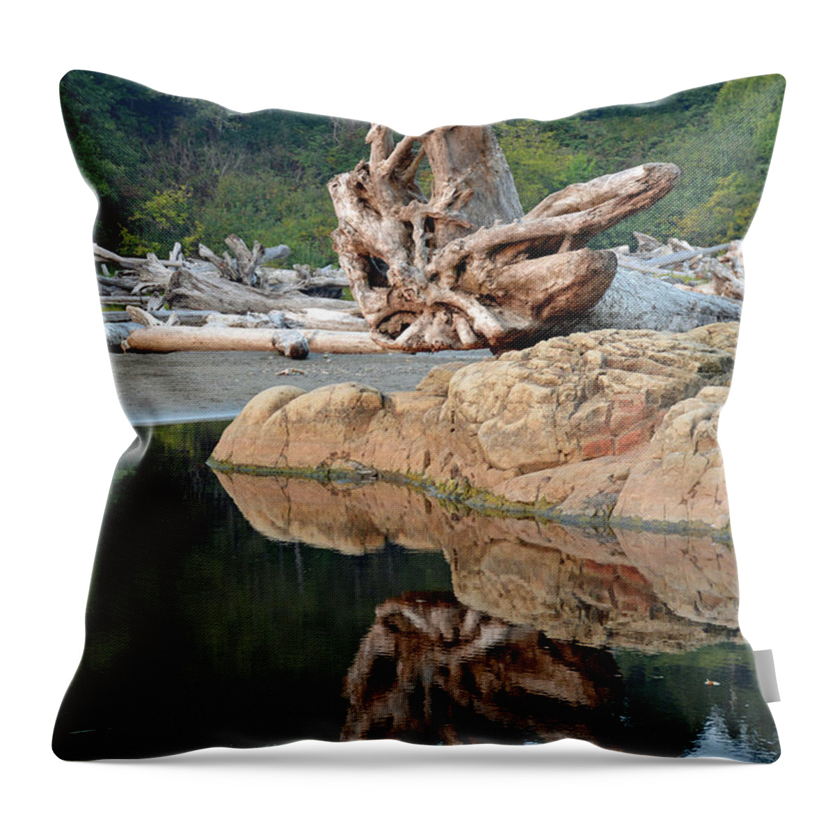 Olympic National Park Throw Pillow featuring the photograph Reflections in Olympic National Park by Bruce Gourley