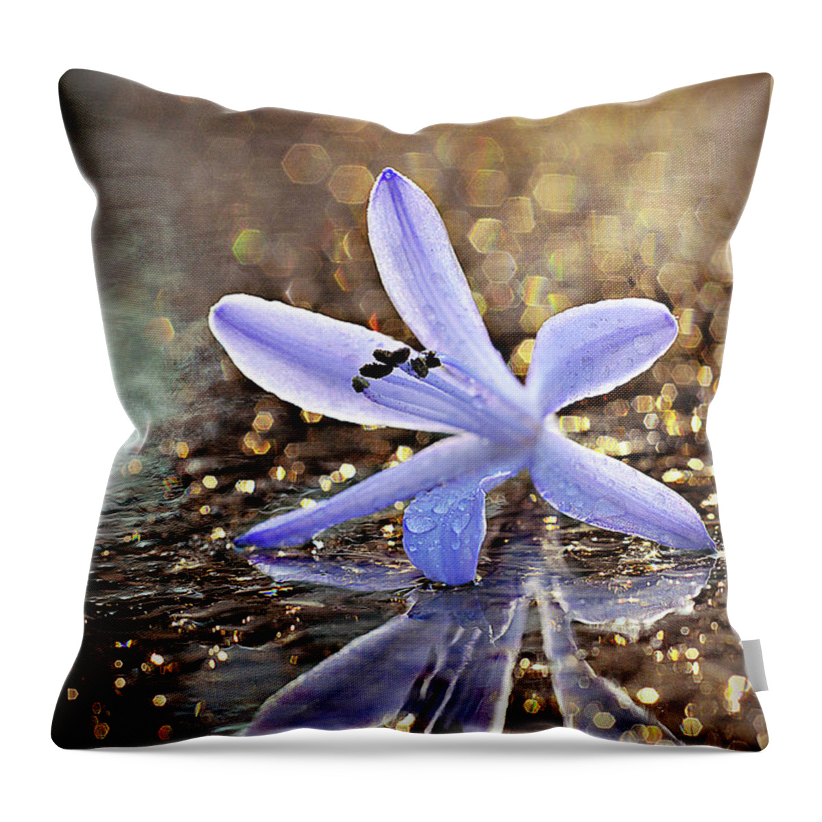 Blue Throw Pillow featuring the photograph Reflections of Joy by Michelle Wermuth