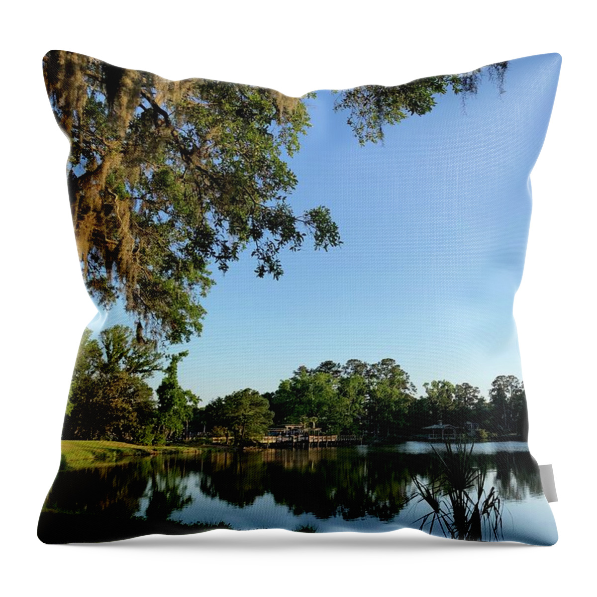 Reflections Throw Pillow featuring the photograph Reflections on Spring Lake by Dennis Schmidt