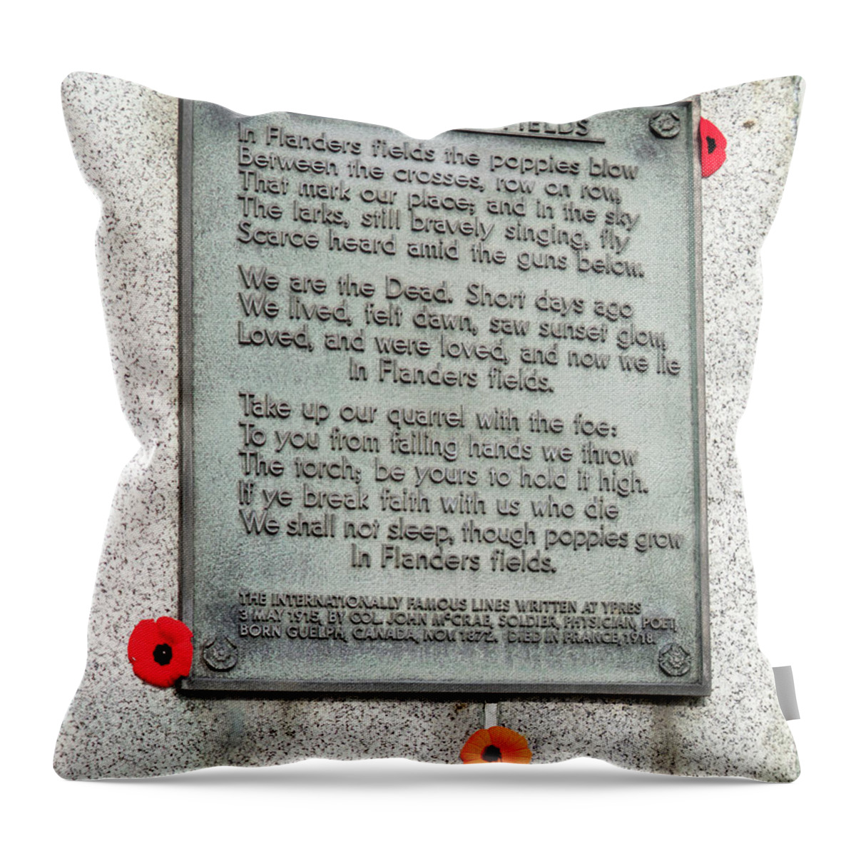 100 Years Ago Throw Pillow featuring the photograph Remembrance Day by Nick Mares