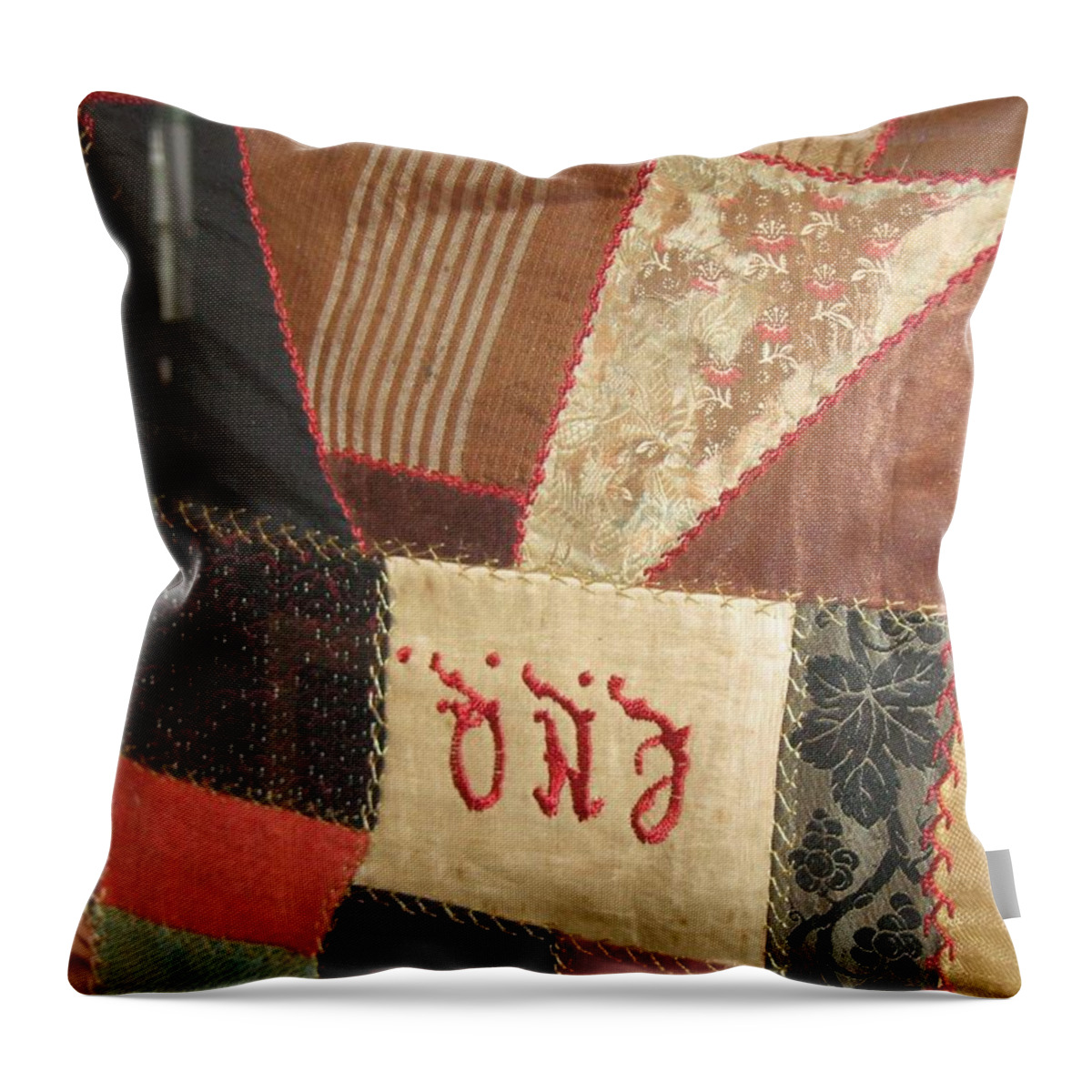 Cherokee Throw Pillow featuring the photograph Remnants Remember by Lois Tomaszewski