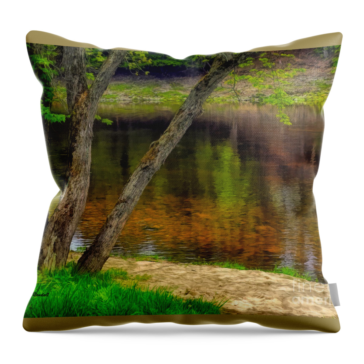 Beach Throw Pillow featuring the photograph Beside The Still Waters by Carol Randall