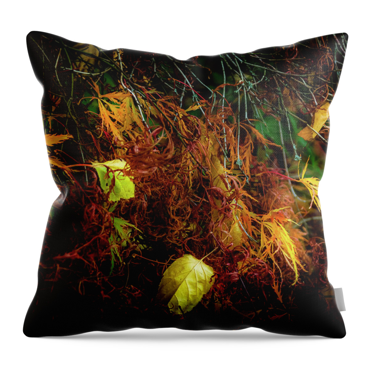 Tree Throw Pillow featuring the photograph Resting on Golden by Christopher Maxum
