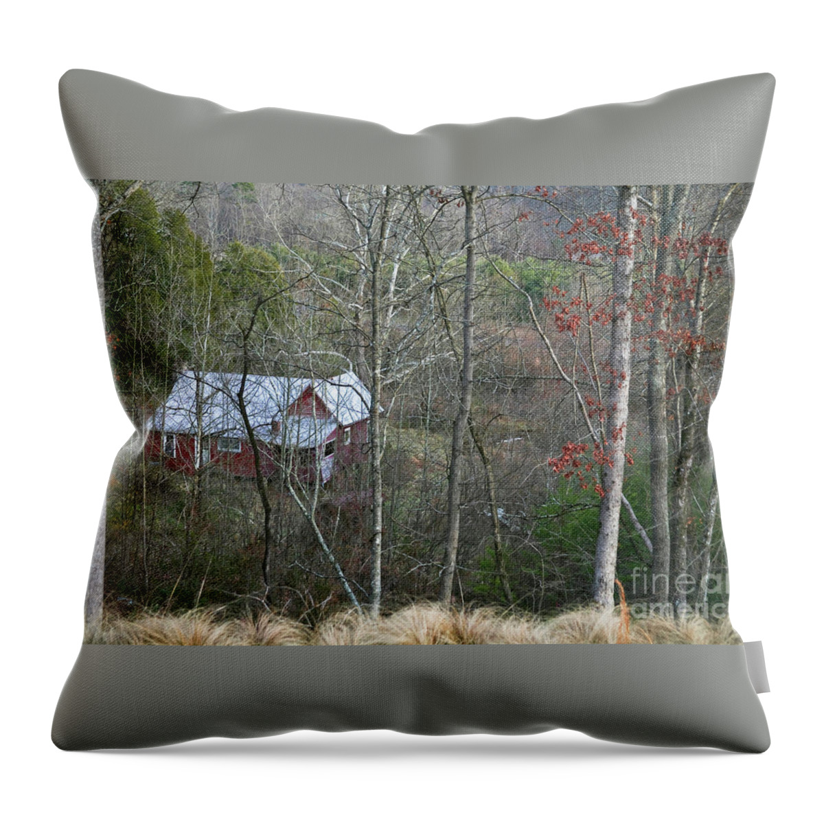Retreat Throw Pillow featuring the photograph Retreat by Kathy Strauss