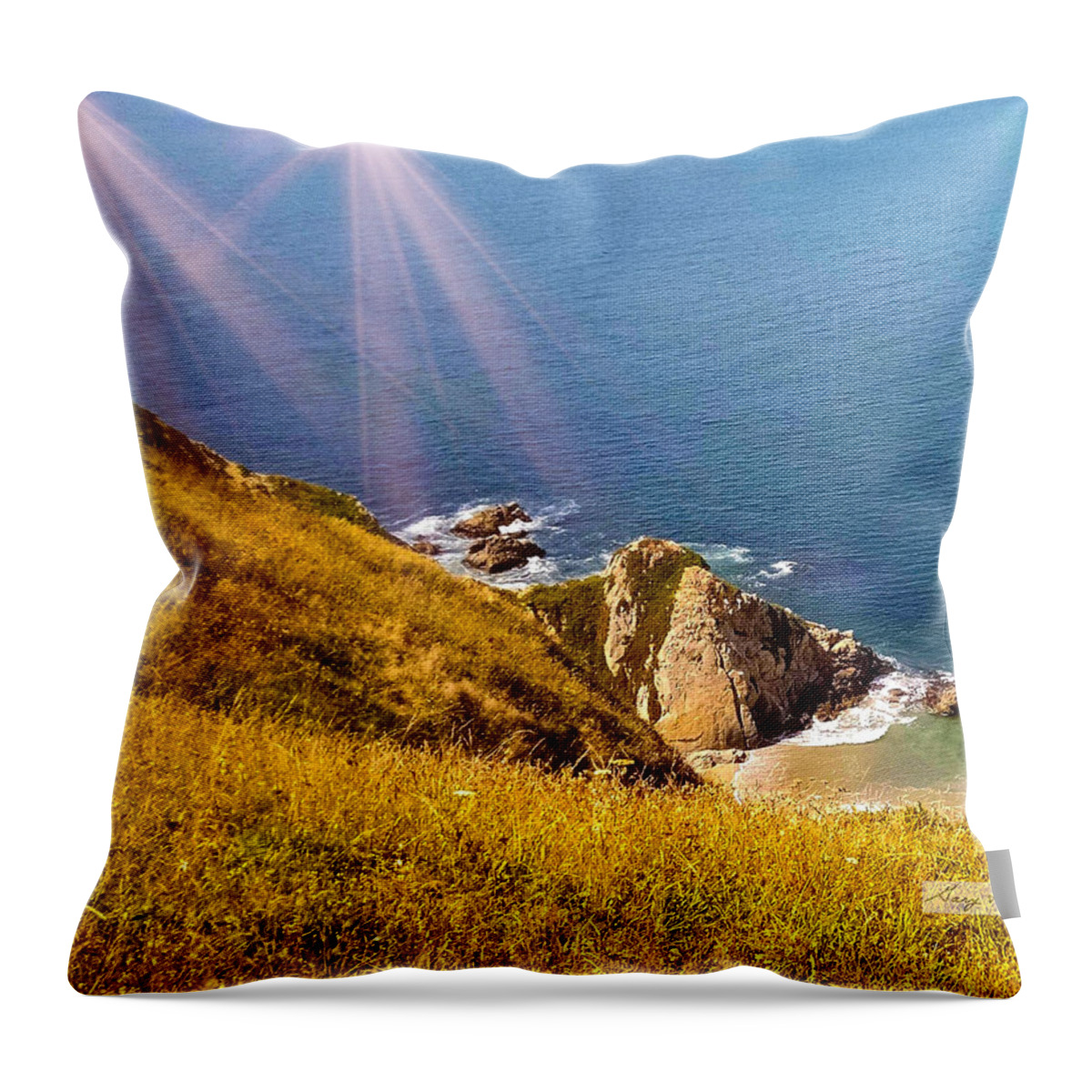 Usa Throw Pillow featuring the photograph Reyes Rock Horse Diva by Gary F Richards