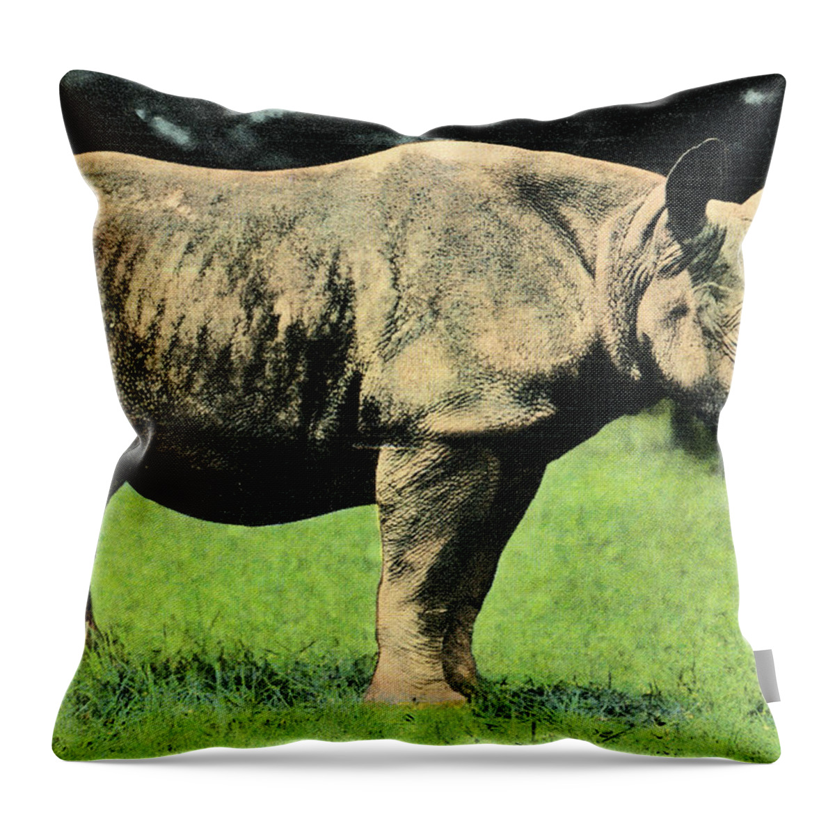 Africa Throw Pillow featuring the drawing Rhino by CSA Images