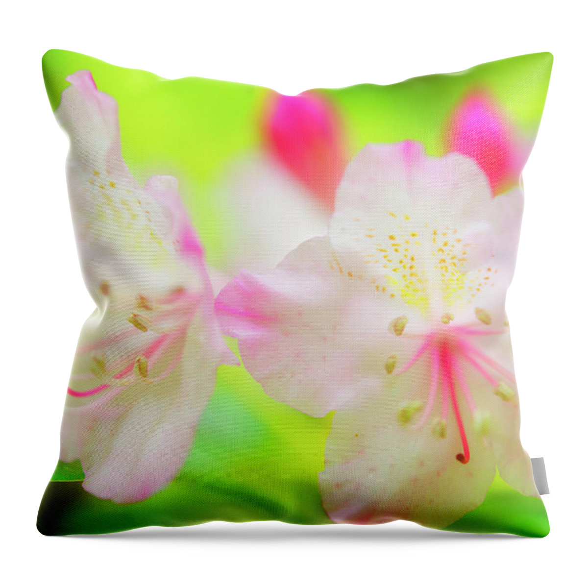 Nature Throw Pillow featuring the photograph Rhododendron 5 by Leland D Howard