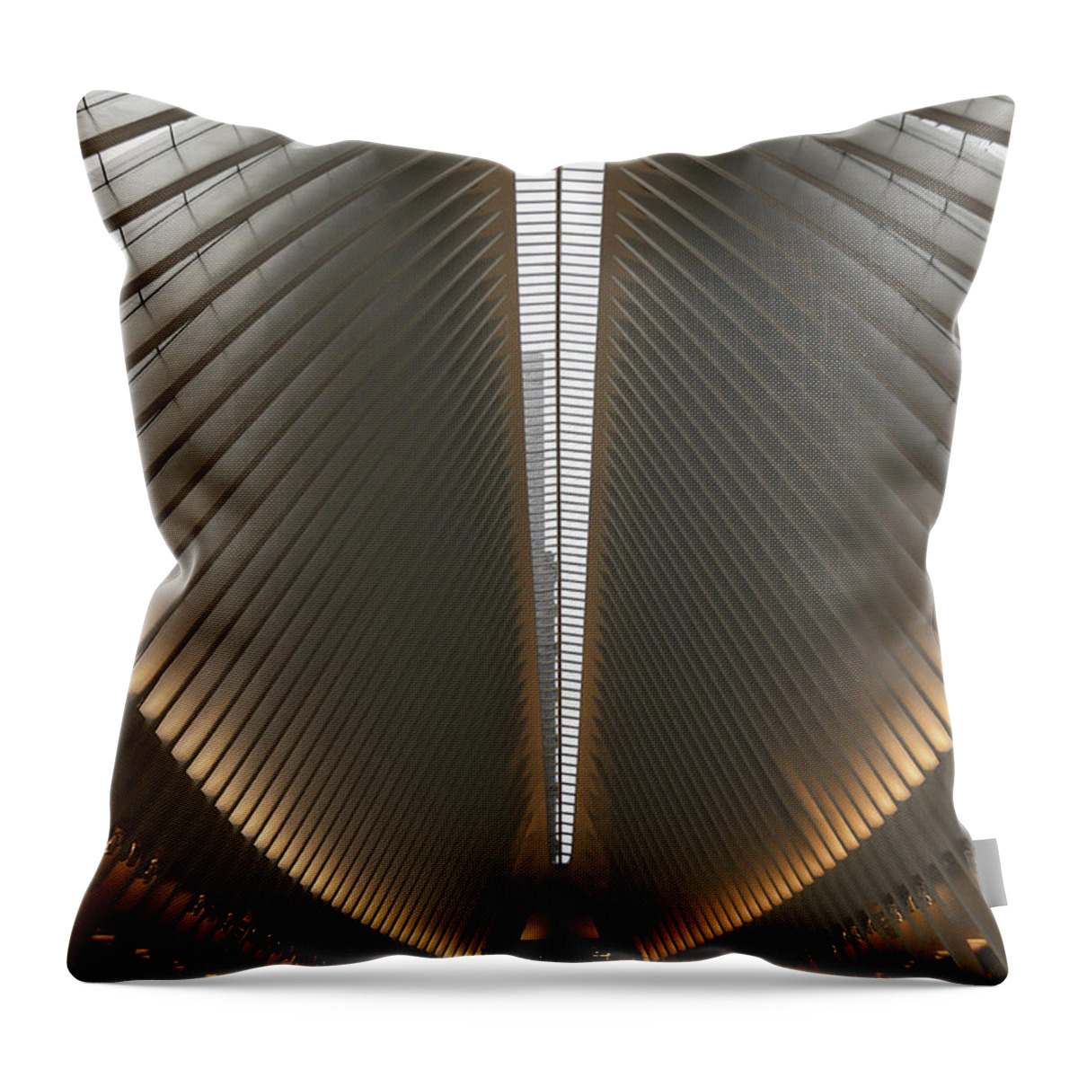 Ribcage Throw Pillow featuring the photograph Ribcage by Peter Hull