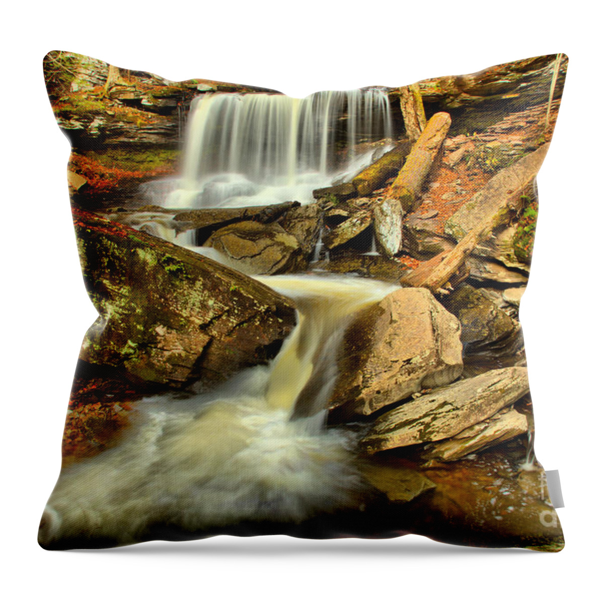Glen Leigh Throw Pillow featuring the photograph Ricketts Glen Double Falls by Adam Jewell