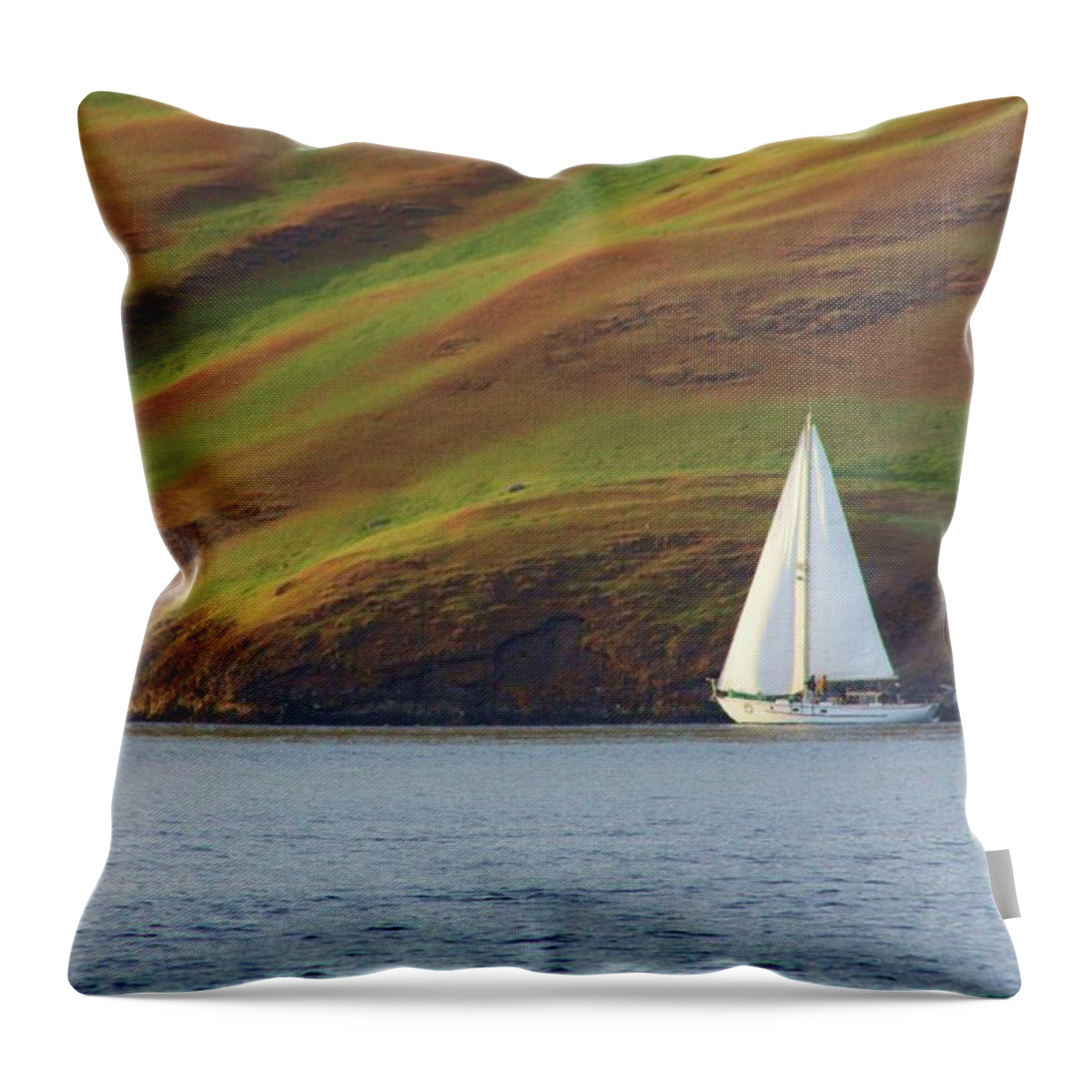 Sailboat Throw Pillow featuring the photograph Ride the tide by Fred Bailey