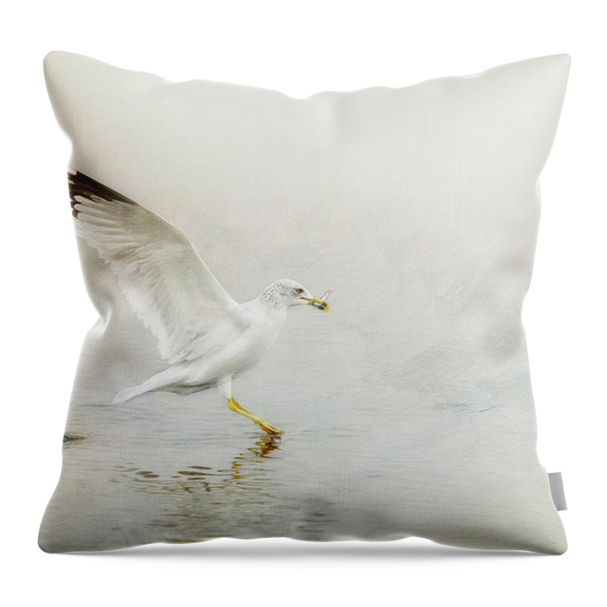 Animal Themes Throw Pillow featuring the photograph Ring-billed Gull With Fish by Susangaryphotography