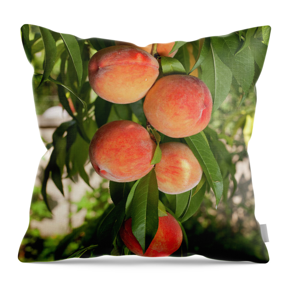Saturated Color Throw Pillow featuring the photograph Ripe Juicy Red Peaches by Mixmike