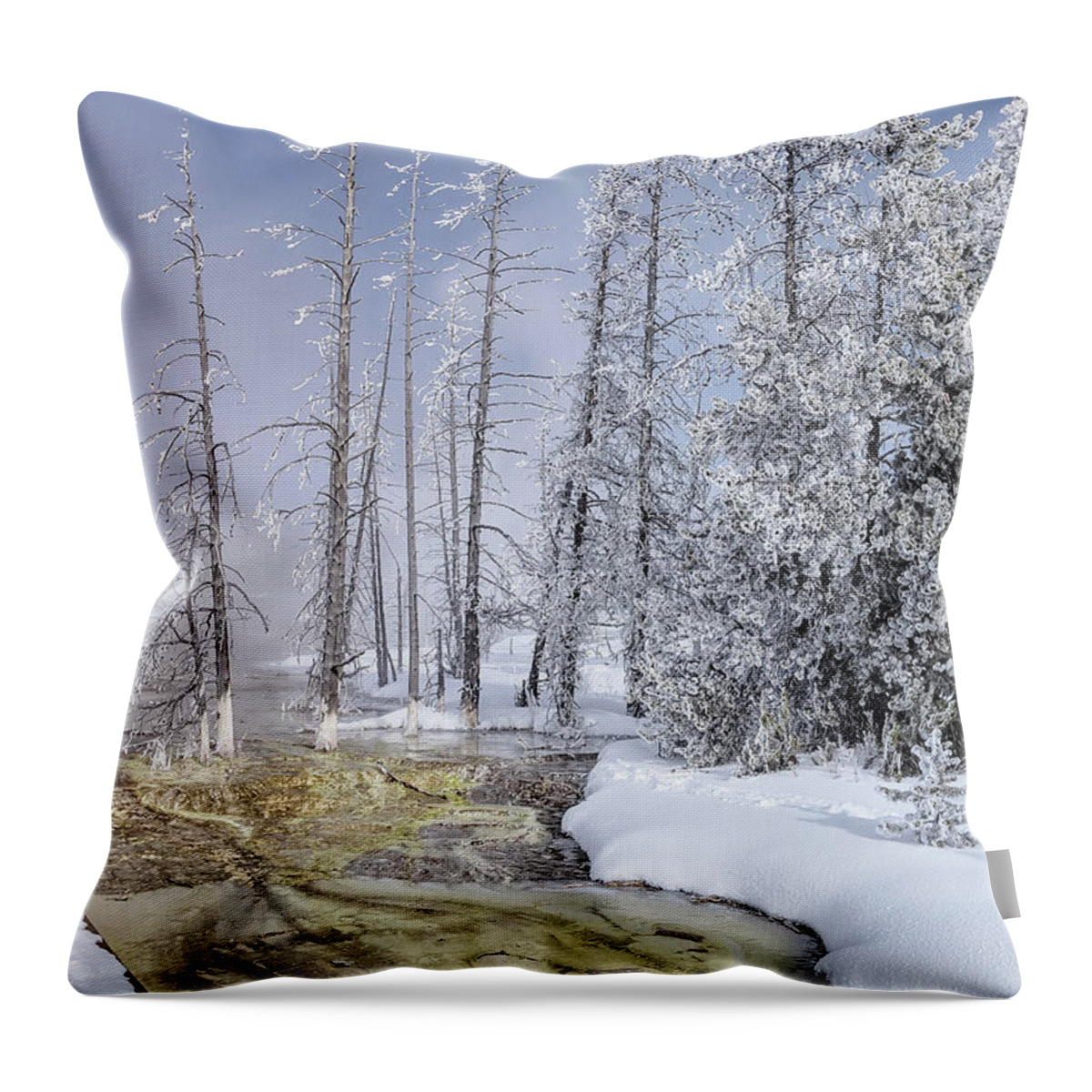 2019 Throw Pillow featuring the photograph River Of Gold - Jo Ann Tomaselli by Jo Ann Tomaselli