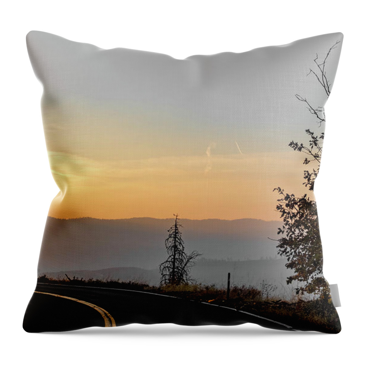 Road Throw Pillow featuring the photograph Road Through Yosemite National Park Early Morning by Alex Grichenko
