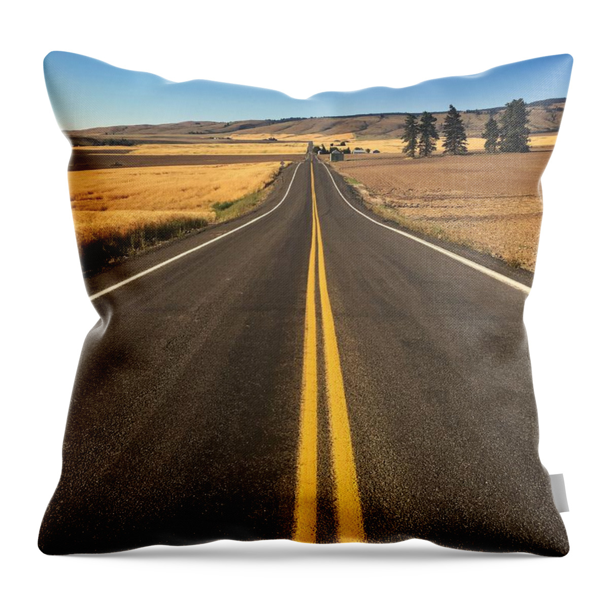 Road Throw Pillow featuring the photograph Road Trip by Jerry Abbott