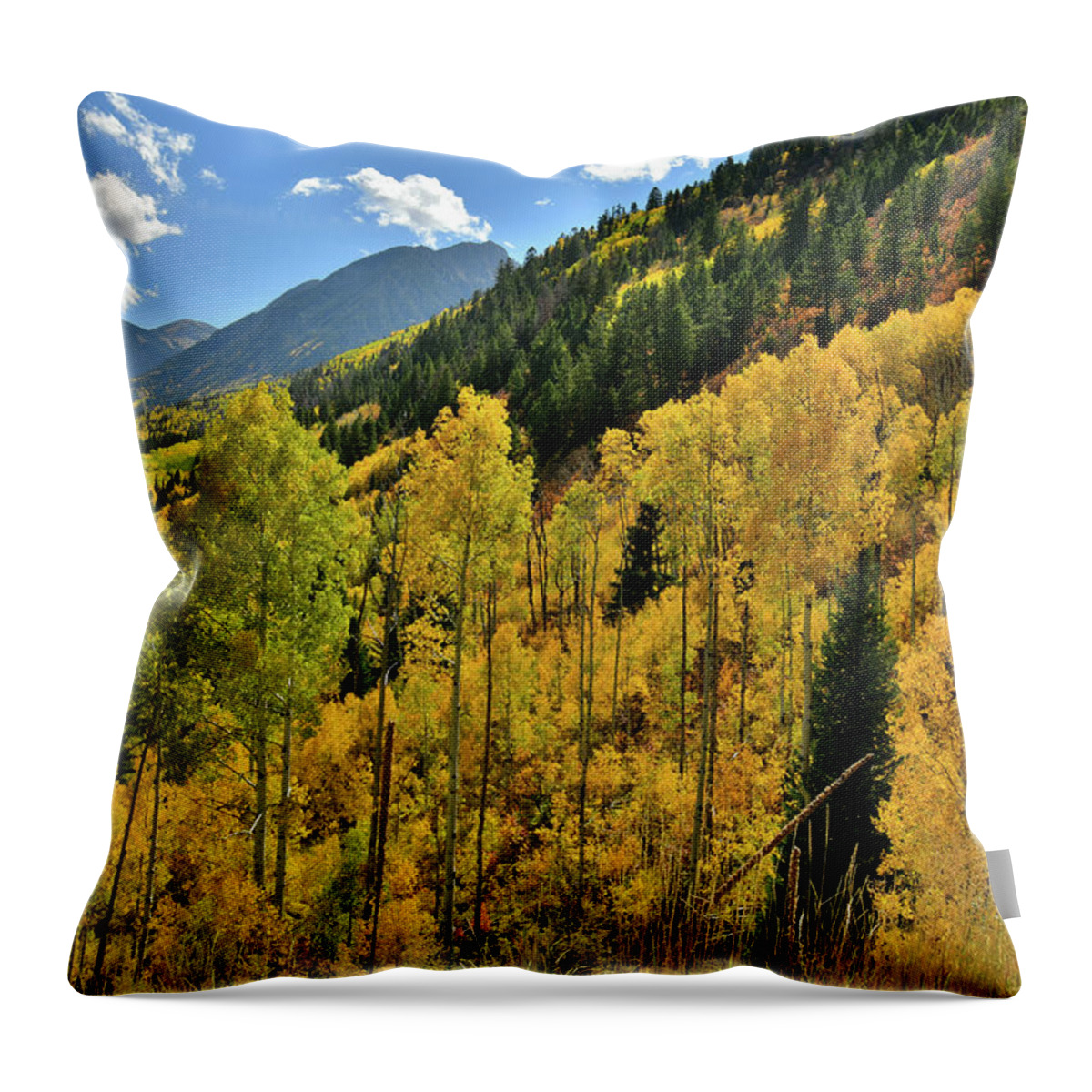 Colorado Throw Pillow featuring the photograph Roadside Fall Colors while Ascending to McClure Pass by Ray Mathis